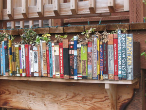 Themed Window Box